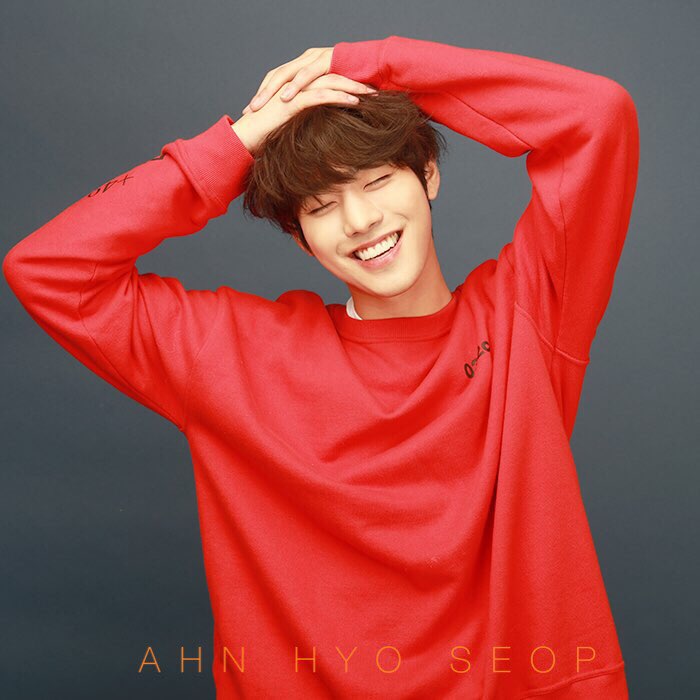 Ahn Hyo Seop 5