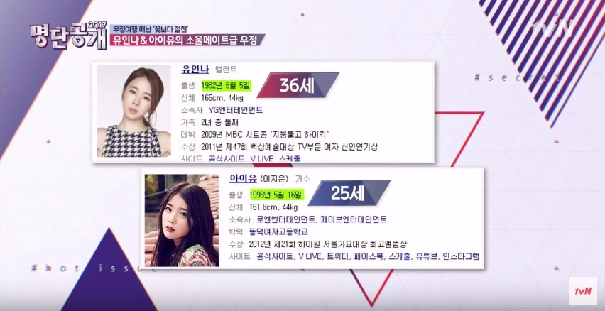 Yoo In Na iu