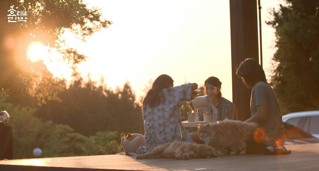 jtbc