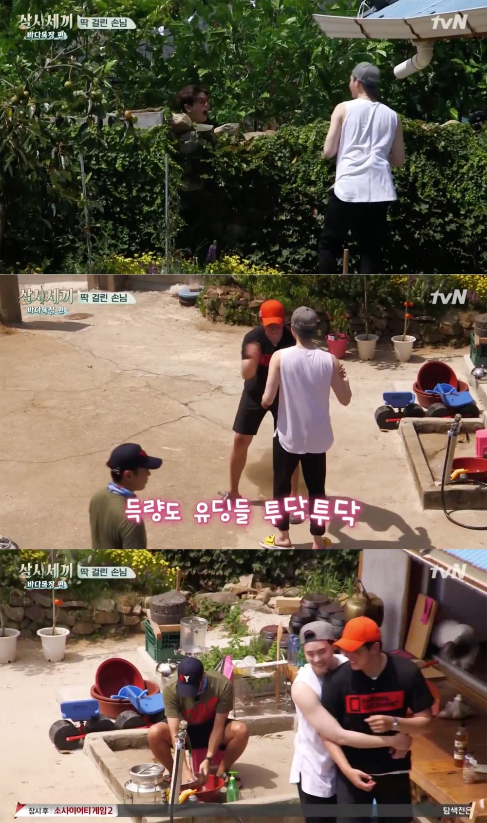 tvN