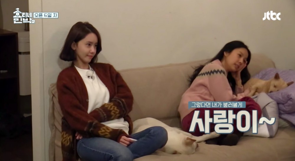 jtbc