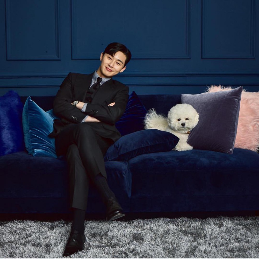 IG bn_sj2013