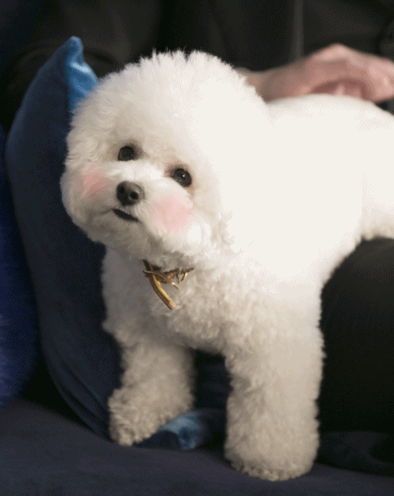 콘텐츠Y