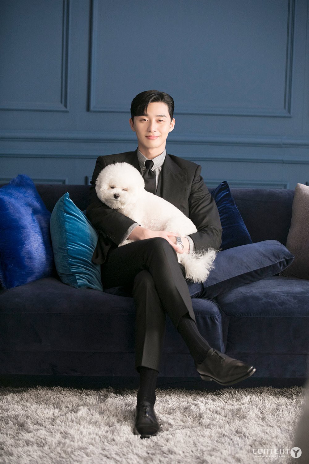 콘텐츠Y