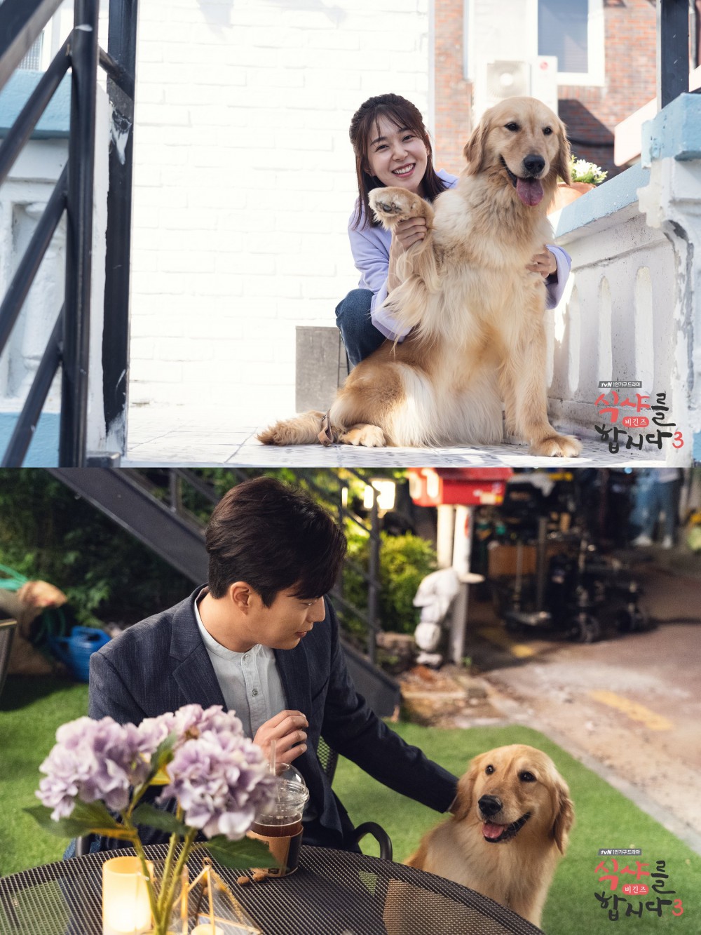 tvN