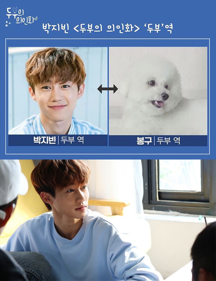 NAVER