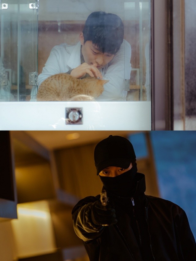 OCN