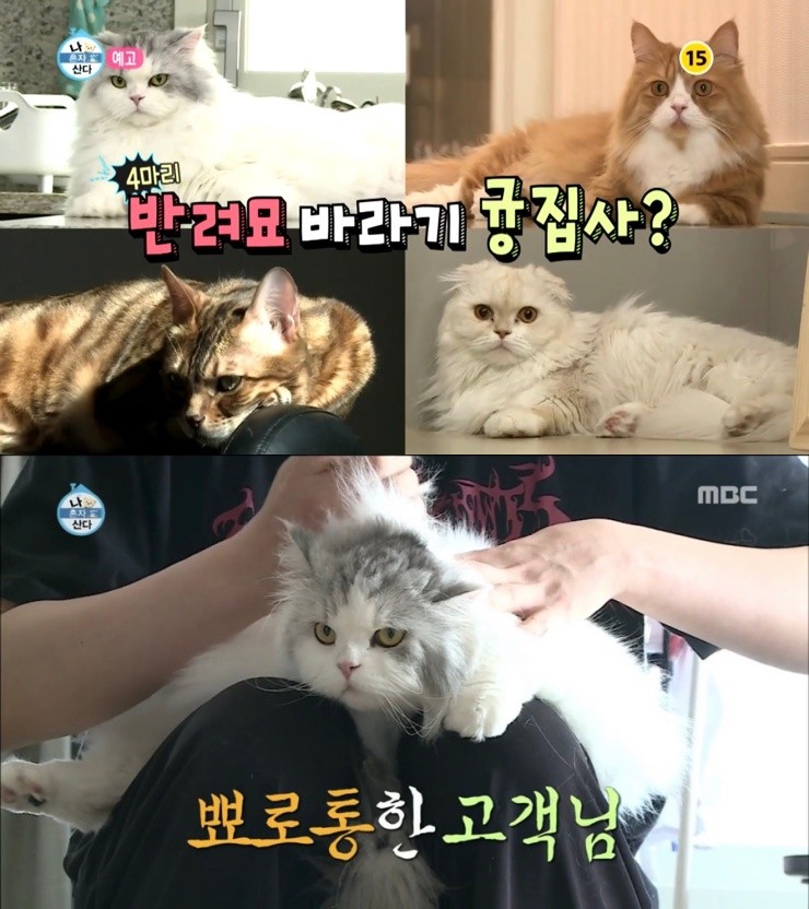 MBC